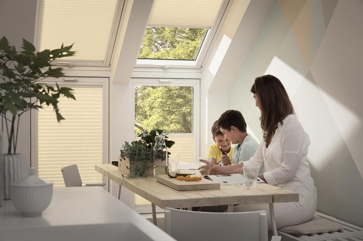 An image of VELUX® Interior Translucent Energy Pleated Blinds goes here.
